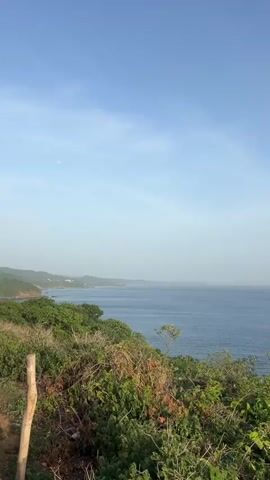 The video is a vertical, low-angle shot of a coastline with the ocean and sky. In the foreground, there is dense green vegetation, including bushes and tall grasses, with a wooden post visible on the far left. Beyond the vegetation, the blue ocean stretches to the horizon, which is hazy. The sky is a light blue, gradually becoming lighter towards the horizon, indicating it might be sunrise or sunset. In the distance, a faint landmass or hills are visible on the left side of the frame. The overall scene depicts a natural, serene coastal environment.
