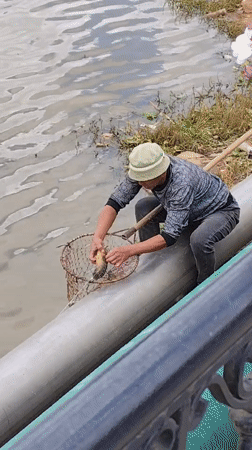 Early morning lakeside activities captured around Da Lat's Xuan Huong Lake