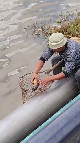 Early morning lakeside activities captured around Da Lat's Xuan Huong Lake