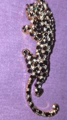 Animal brooches displayed in Byala Slatina, Bulgaria