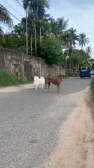 Ordinary coastal life documented across southern Sri Lankan communities