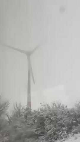The video shows a wind turbine with snow-covered trees in the foreground. The sky is overcast. The camera pans slightly to reveal the turbine's full height.