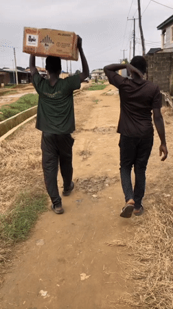 Street scenes from Ikorodu: animals, waterways, and daily movement