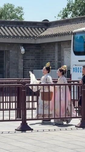 Traditional-dressed women, uniformed children observed in Beijing's Dongcheng District