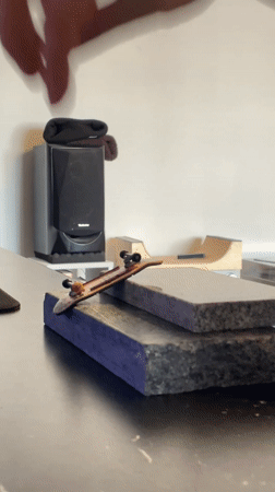 Quiet morning moments captured in Yekaterinburg: fingerboarding, pets, nature