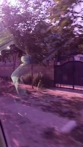 The video shows a person in a light-colored shirt and dark pants in a rural or semi-rural environment. The person appears to be bending over or in motion, with their back to the camera. The surroundings include trees, grass, a fence, and possibly a building in the background. The lighting suggests it is daytime, with some shadows present. The video appears to be shot from a moving vehicle, as indicated by the slight blur and the perspective. The overall color tone of the video is slightly reddish or pinkish, possibly due to lighting conditions or camera effects.