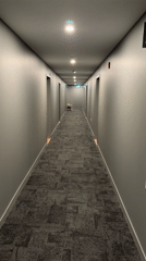 Small dog spotted running through hallway in Laval