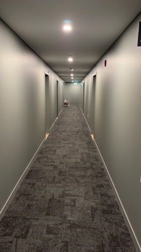 Small dog spotted running through hallway in Laval