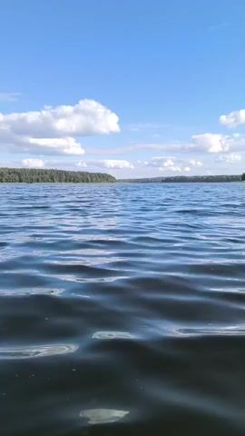 A video shows a wide view of a lake on a clear day. The water is rippling gently, with sunlight reflecting off the surface. In the distance, a line of trees forms the horizon, and beyond that, a bright blue sky is dotted with fluffy white clouds. The camera is positioned low, close to the water, giving the impression of being on or just above the surface of the lake. There are no people or objects visible in the frame, only the natural landscape of the lake and sky.