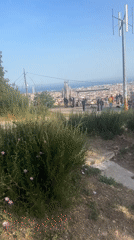 Visitor Documents Barcelona Park Views During Evening Walk