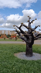 Afternoon stroll through a Zhlobin park full of sculptures