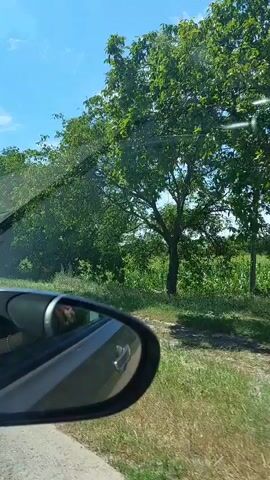 The video is a first-person perspective from inside a vehicle, looking out the side window and through the side mirror. The exterior scene shows green trees, grass, and a blue sky with some clouds. The side mirror reflects the interior of the car, including what appears to be a person with reddish-brown hair. The vehicle is in motion, as evidenced by the blur of the trees and the changing scenery. The lighting suggests it is daytime.