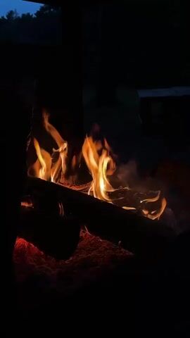 The video shows a close-up of a campfire at night. The fire is burning logs in a dark setting. Flames are visible in shades of orange and yellow, with glowing red embers at the base of the fire. The background is very dark, with some faint shapes suggesting trees and possibly a structure in the distance. The lighting is entirely from the fire itself. There are no people or animals visible.