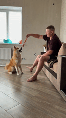 Man plays with Akita Inu dog in Chaikovsky home