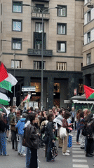Pro-Palestinian demonstration held on Milan city street