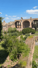 Tourist documents Roman Forum ruins on spring morning