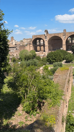 Tourist documents Roman Forum ruins on spring morning