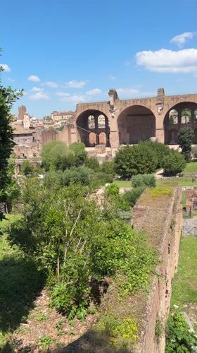 Tourist documents Roman Forum ruins on spring morning