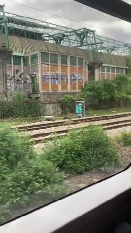 The video shows a view from inside a moving train, looking out the window at an industrial landscape. The train is traveling along train tracks. Next to the tracks is a train platform, beyond which is a large building with many windows, extensively covered in graffiti. Above the building, a large green metal frame is visible. The sky is overcast. There is lush green vegetation growing alongside the train tracks and around the platform. The perspective is moving as the train travels forward.