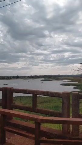 The video begins with a close-up of a weathered, reddish-brown railing of a bridge. The railing is made of concrete posts with horizontal wooden planks. Beyond the railing, a body of water, likely a lake or wide river, stretches into the distance. The water is calm and appears somewhat murky. Along the edges of the water, there is lush green vegetation, including what looks like water hyacinths or similar aquatic plants. The background shows a hazy horizon with distant landmasses, possibly trees or the outline of a town. The sky is overcast with dramatic, heavy grey clouds, hinting at impending rain or a stormy day. There are no people or animals visible in the frame. The camera perspective is static, looking out over the water. The overall impression is one of a natural landscape under a brooding sky, viewed from a man-made structure.