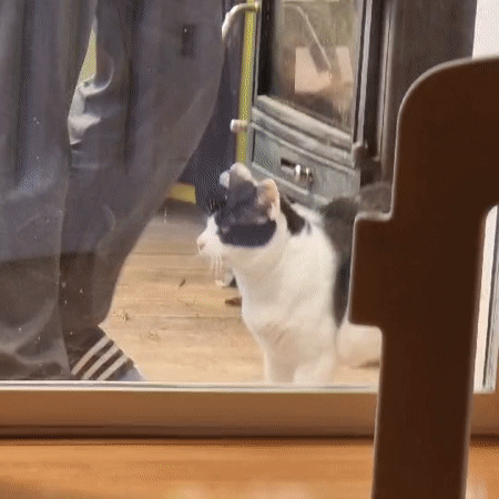 Family morning routine captured in South Korean home