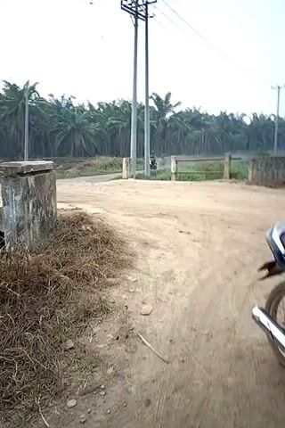 A short video shows a dirt road with a person riding a motorcycle. In the background, there are palm trees and power lines. The road appears to be unpaved and dusty. The motorcycle is moving away from the camera.