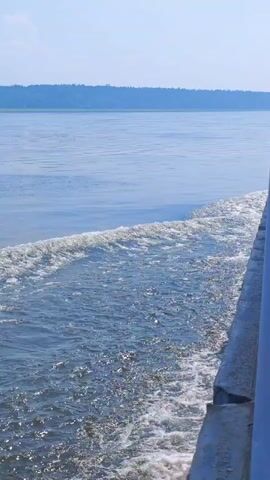 The video shows a view from the side of a boat traveling on a calm body of water. White wake is visible behind the boat, indicating its movement. The water is blue and reflects the clear sky above. A tree line is visible in the distance on the horizon. The side of the boat, a white railing, and a portion of the boat's white superstructure are visible in the foreground on the right side of the frame. The camera is angled downwards and slightly towards the water.