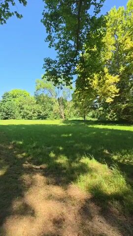 A sunny day in a park with a large grassy field and trees. The sun casts shadows on the grass. The trees are lush and green, with some yellowing leaves on one tree. The sky is a clear blue.