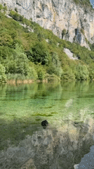 Crystal-clear alpine lake with ducks, cliffs, and a rocky bottom