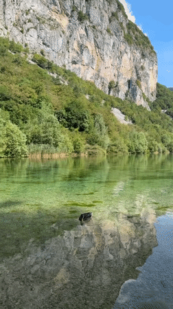 Crystal-clear alpine lake with ducks, cliffs, and a rocky bottom