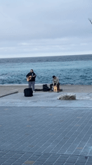Musicians perform beachside concert during overcast afternoon