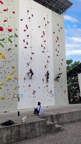 The video shows a tall, white climbing wall with numerous pink star-shaped handholds and some smaller gold and gray holds. Three individuals, dressed in athletic wear and secured by ropes and harnesses, are climbing the wall. The climber on the left, wearing a dark green outfit, is positioned on the lower section of the wall. To their right, a second climber in a red and black outfit is ascending higher on the wall. Further to the right, a third climber in a red and white outfit is also climbing, slightly higher than the second climber. The wall has large blue labels "A" and "B" near the bottom. In the foreground, a person wearing a white shirt and dark pants is sitting on a ledge, facing away from the wall, with their back to the camera. A white cat is sitting near this person. To the left of the climbing wall, another section of a climbing wall is visible, featuring colorful handholds in green, yellow, and red. The environment appears to be outdoors, with a partially visible roof structure above the climbing walls and trees in the background. The sky is partly cloudy.