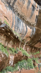 Hiker records scenic canyon views in Springdale