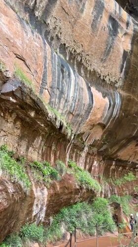Hiker records scenic canyon views in Springdale