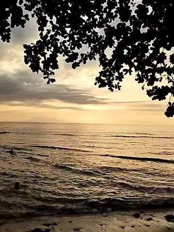 The video shows a shoreline scene at dusk. Silhouetted tree branches frame the top of the view. The ocean is in the mid-ground, with gentle waves approaching the beach. Two small, dark figures, appearing to be people, are visible in the shallow water on the left side of the frame. One figure is closer to the shore and appears to be standing, while the other is further out and seems to be swimming or wading. The sky is filled with clouds, illuminated by the setting sun which casts a warm, golden light across the water and the horizon. The beach is visible in the foreground.