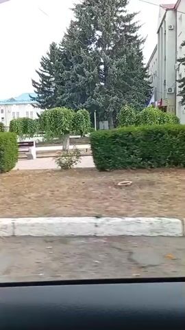 A video shows a street view from inside a vehicle. The video captures a building with a blue roof and white walls. There are trees and bushes along the street, and a lamppost is visible. The street appears to be paved, with a curb and a sidewalk. The sky is overcast.