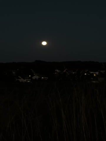 The video is a still shot taken at night. A full moon is visible in the dark sky. Below the moon, a dark silhouette of a treeline is seen. In the middle ground, a village or small town is partially illuminated with scattered lights from buildings. The foreground is filled with dark, blurred stalks of grass or reeds, suggesting the camera is positioned behind them, looking out over the landscape. The overall scene is dark and atmospheric, with the moon and village lights being the primary sources of illumination.