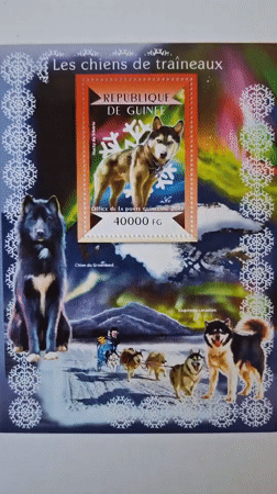 Guinea Animal Stamps Collection Documented in Bulgaria