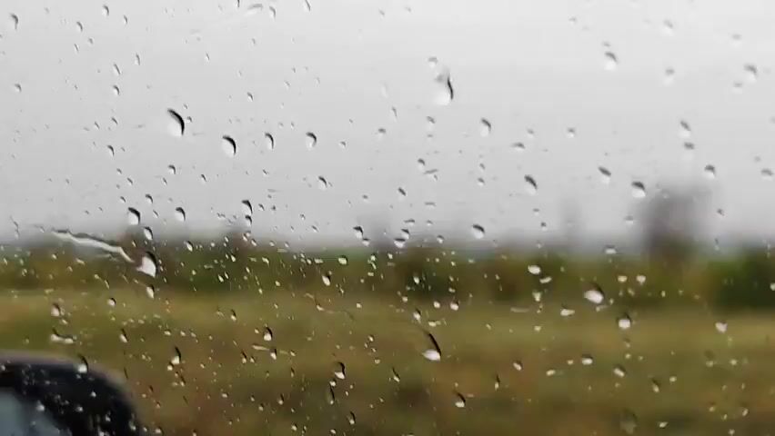 The video shows water droplets on a glass surface, likely a car window, with a blurred outdoor scene in the background. The outside view consists of green and brown foliage, suggesting a landscape with trees and vegetation. The sky appears overcast and grey. The focus is on the rain drops which are of varying sizes and shapes, with some appearing to be sliding down the glass. A small portion of a dark-colored object, possibly the side mirror of a vehicle, is visible in the lower left corner of the frame. The overall impression is that of a rainy day viewed from inside a moving vehicle.