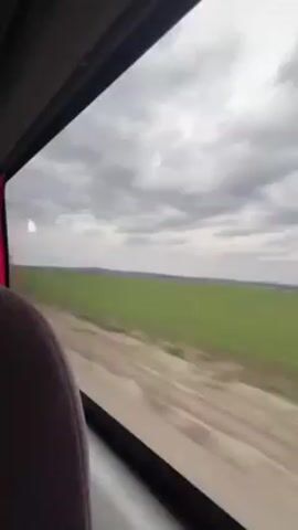 The video shows a view from inside a moving vehicle, possibly a train or bus, looking out the window. The exterior view consists of a flat, green field stretching to the horizon under a cloudy, grey sky. Trees occasionally pass by the window. The vehicle is moving quickly, blurring the view. The edge of a seat is visible inside the vehicle.
