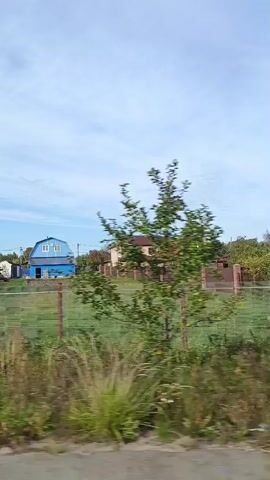 A daylight exterior shot, captured from a moving vehicle, shows a rural landscape under a partly cloudy sky. The foreground is dominated by a blurred grassy area, with some tall dry stalks and green foliage. A metal fence runs horizontally across the middle of the frame. Beyond the fence, several houses are visible. On the left, a bright blue two-story house with a gabled roof stands out. To its right, a larger, beige house with a brown roof and visible chimney is situated. Further to the right, another house with a red tile roof is partially visible. Trees and bushes are scattered throughout the scene, interspersed between the houses and along the fence line. The camera appears to be moving from left to right, creating a dynamic, albeit blurry, view of the scenery.