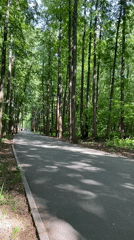 Woman walks through sunny park pathway in Ufa