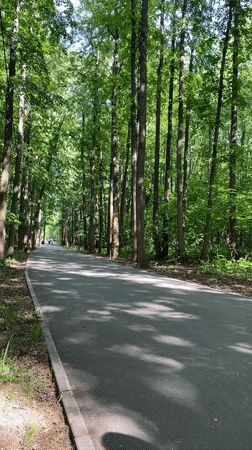 Woman walks through sunny park pathway in Ufa