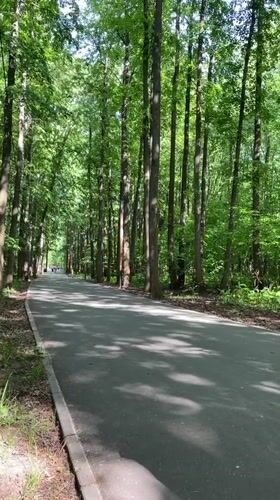 Woman walks through sunny park pathway in Ufa
