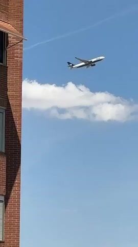 An airplane flies across a bright blue sky. The airplane is white with dark markings on its tail and possibly the side. There are a few scattered white clouds in the sky. The lower portion of the video shows the tops of some green trees. The camera is angled upwards to capture the airplane.
