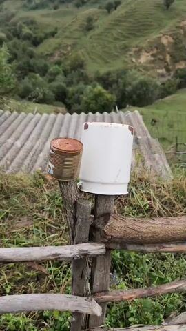 A rustic wooden fence post supports a rusty tin can and a white enameled bucket. In the background, a corrugated roof is visible, and beyond that, a green, tree-covered hillside slopes upwards under an overcast sky. The scene appears to be outdoors in a rural or semi-rural setting.