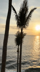 Tourist captures peaceful Senggigi sunrise scenes in Indonesia