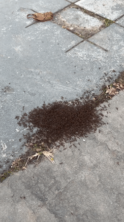 Spring evening scenes documented across Newburgh, New York