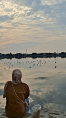 Egrets and quiet water at a Lhokseumawe waterfront