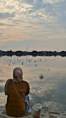 Egrets and quiet water at a Lhokseumawe waterfront